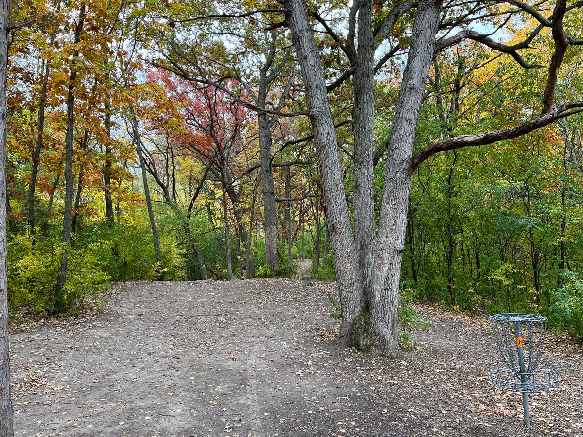 6’s dogleg