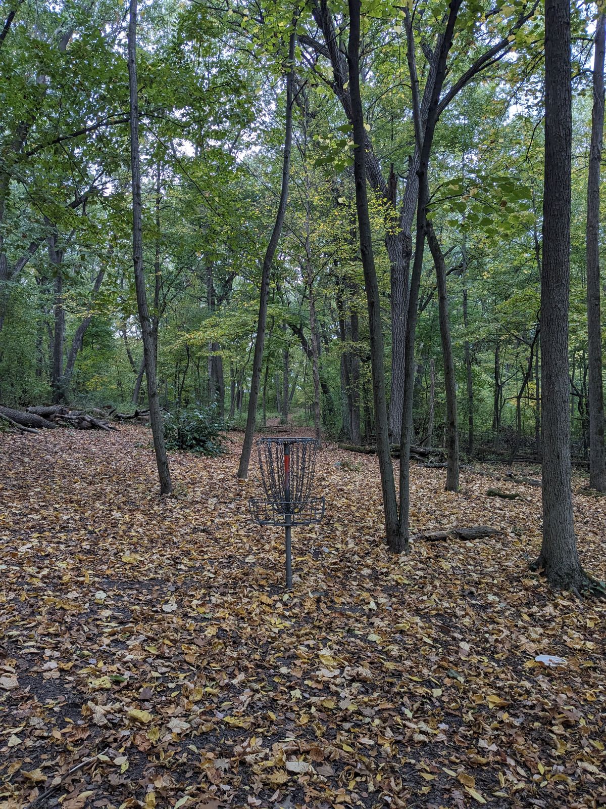 Hole 17 basket