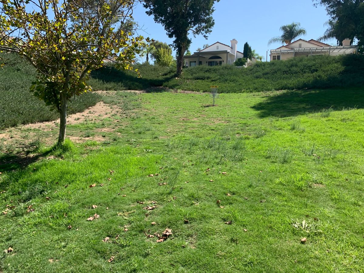Alpha Hole 14