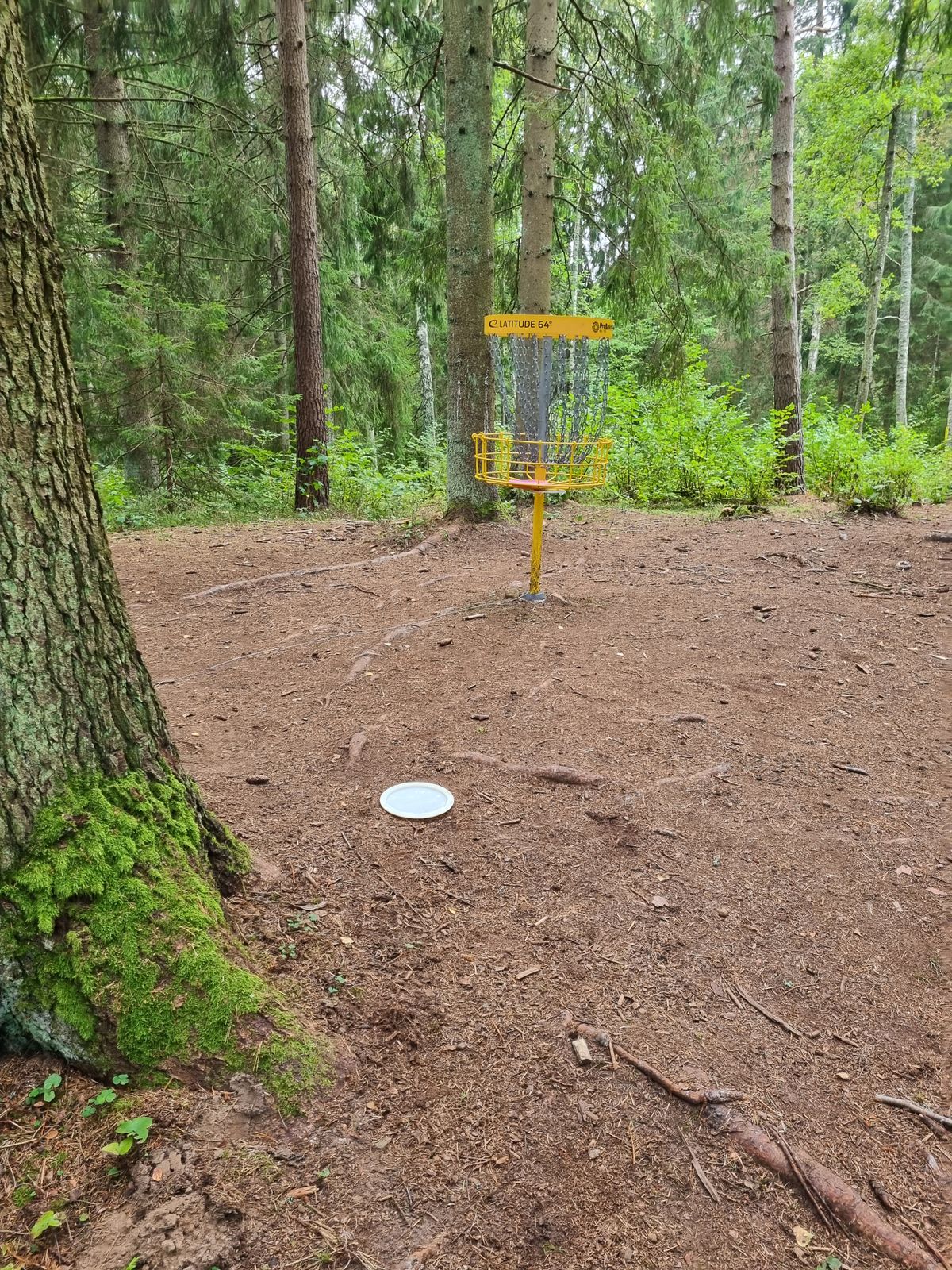 Hål 16