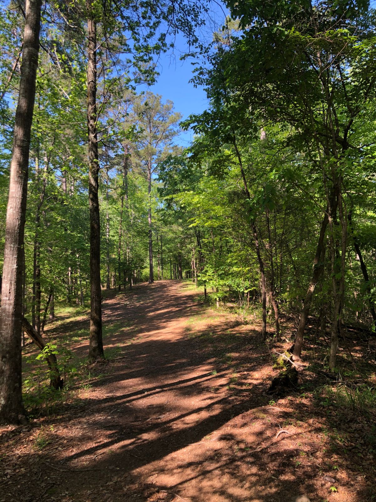 Hole 7