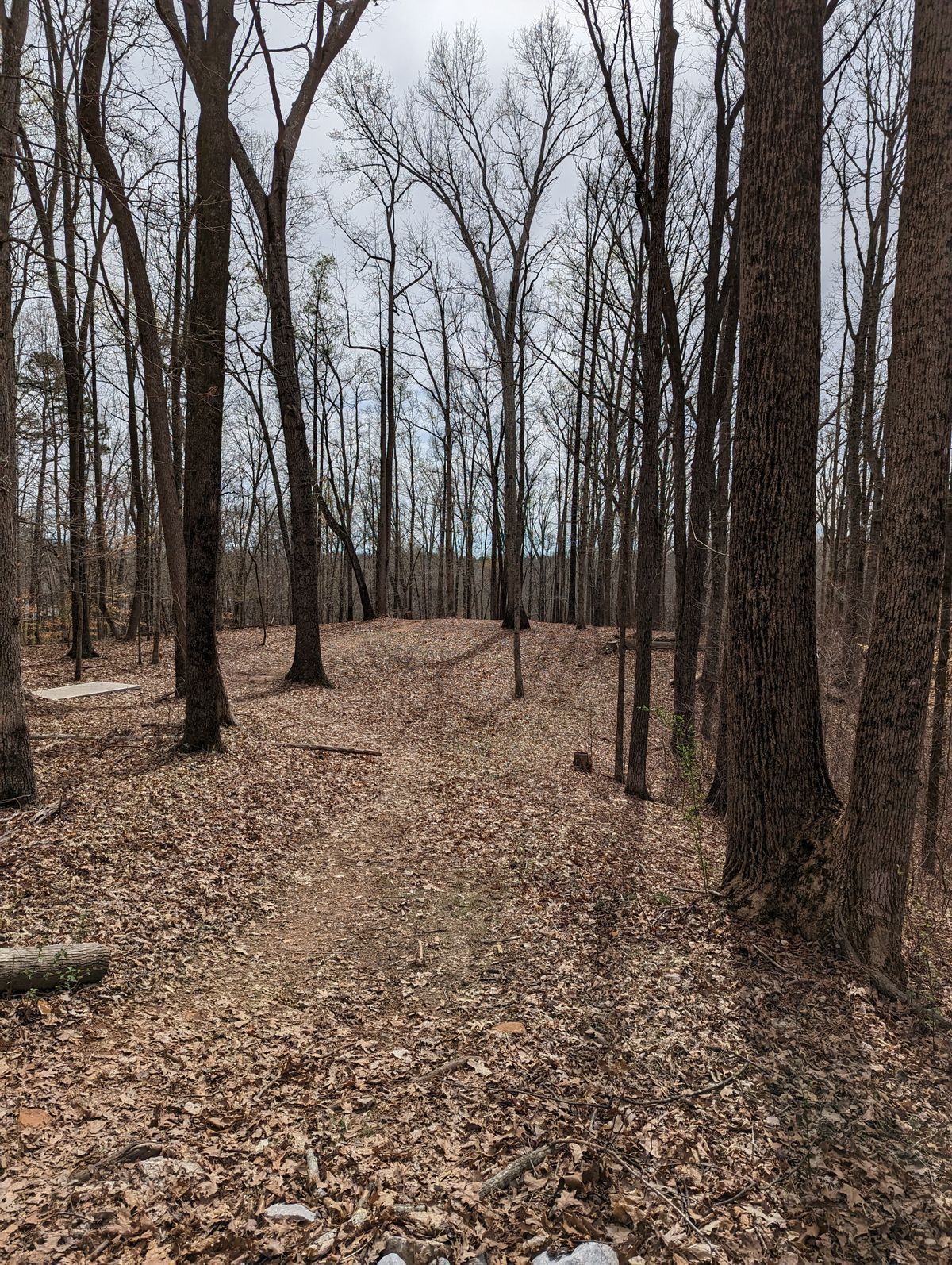Hole 3, long tee