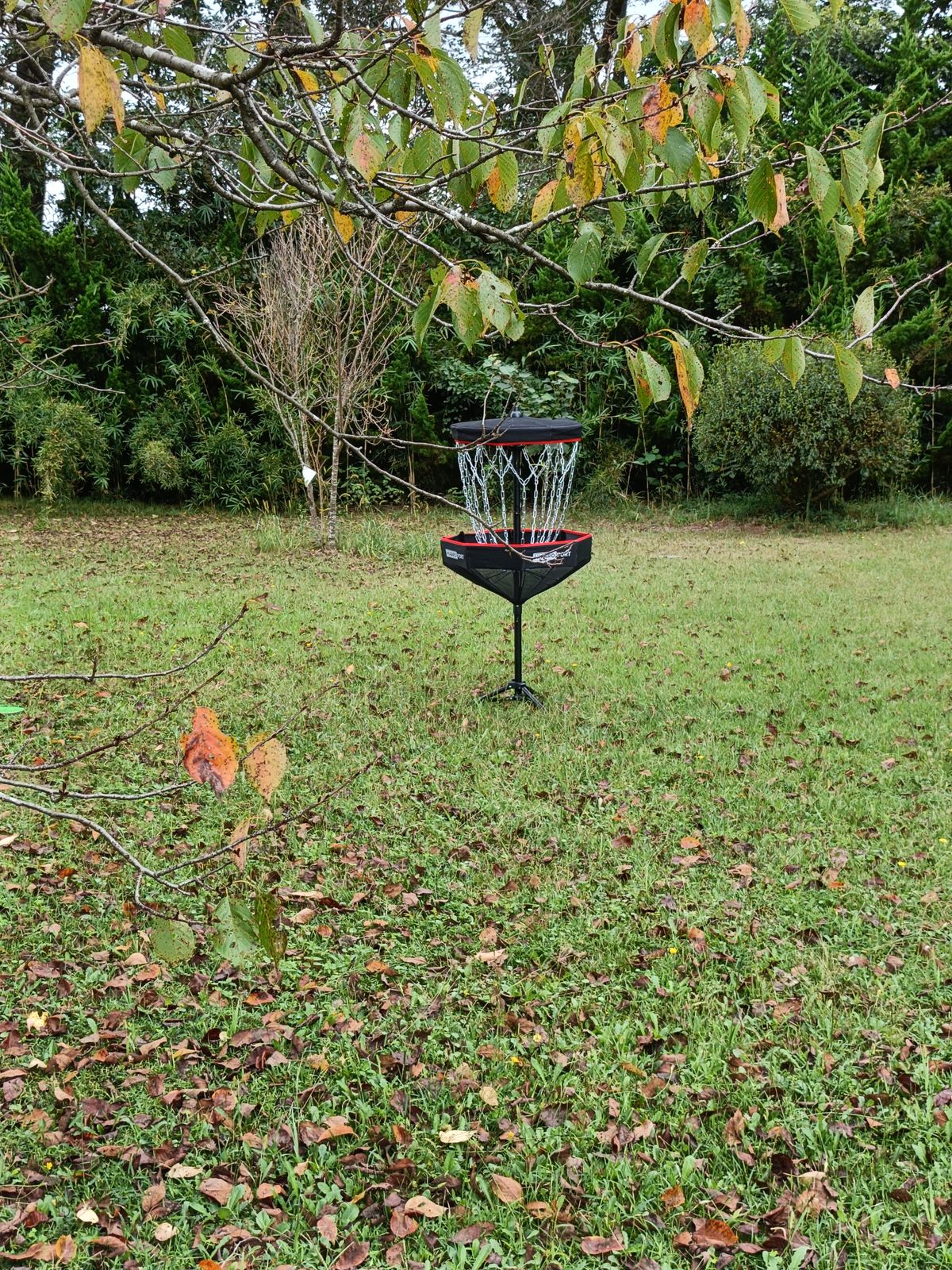 New hole five