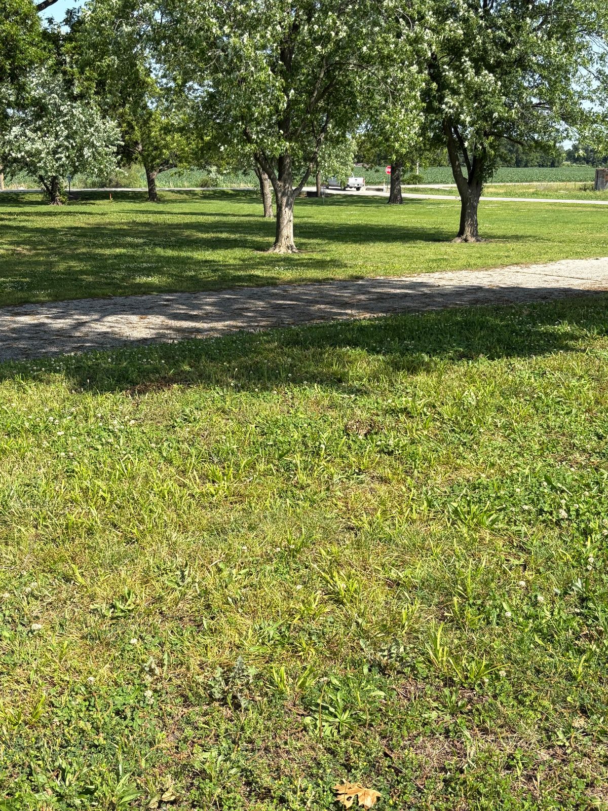 Hole 3