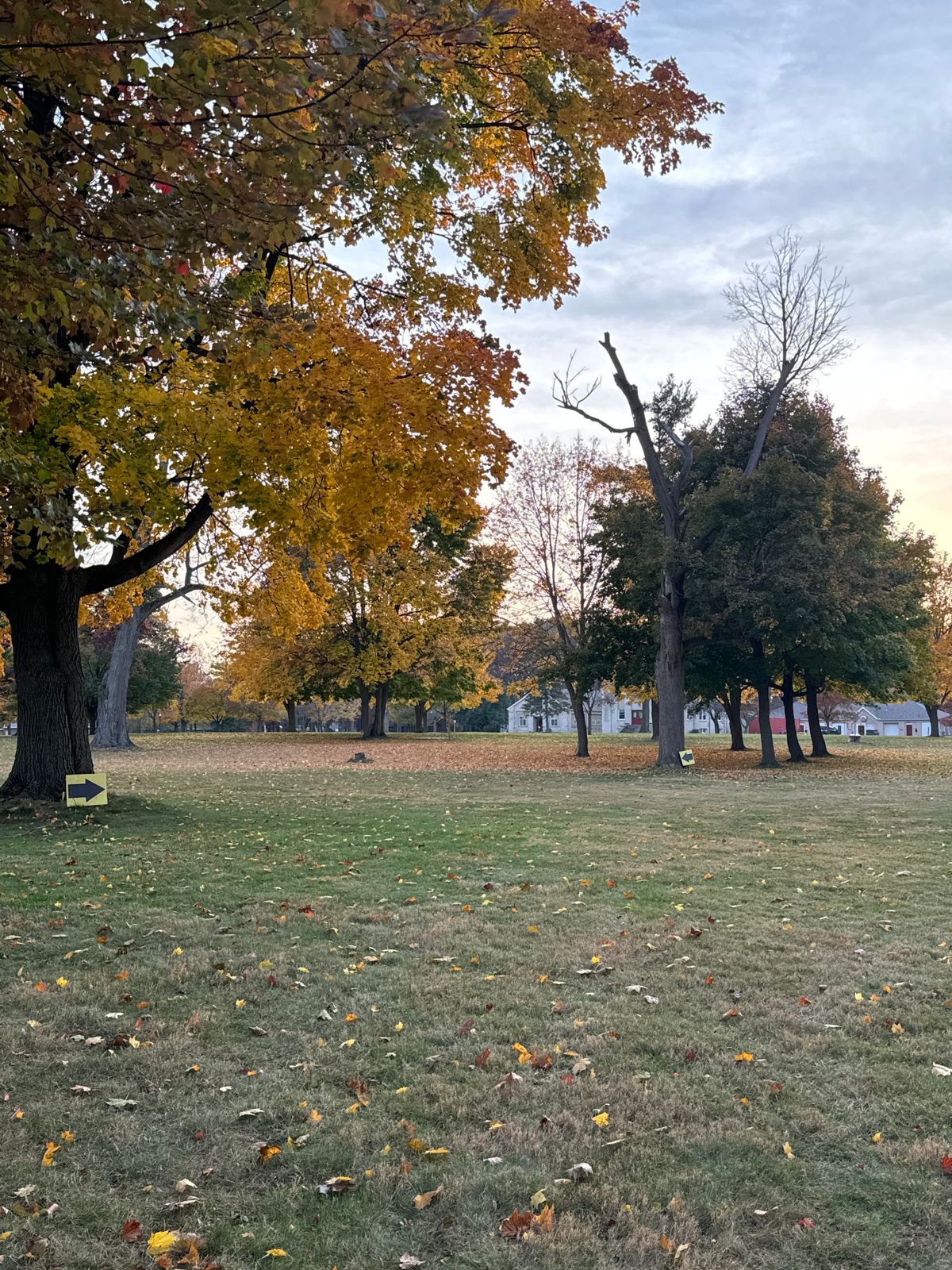 Hole 8 Blue Fairway