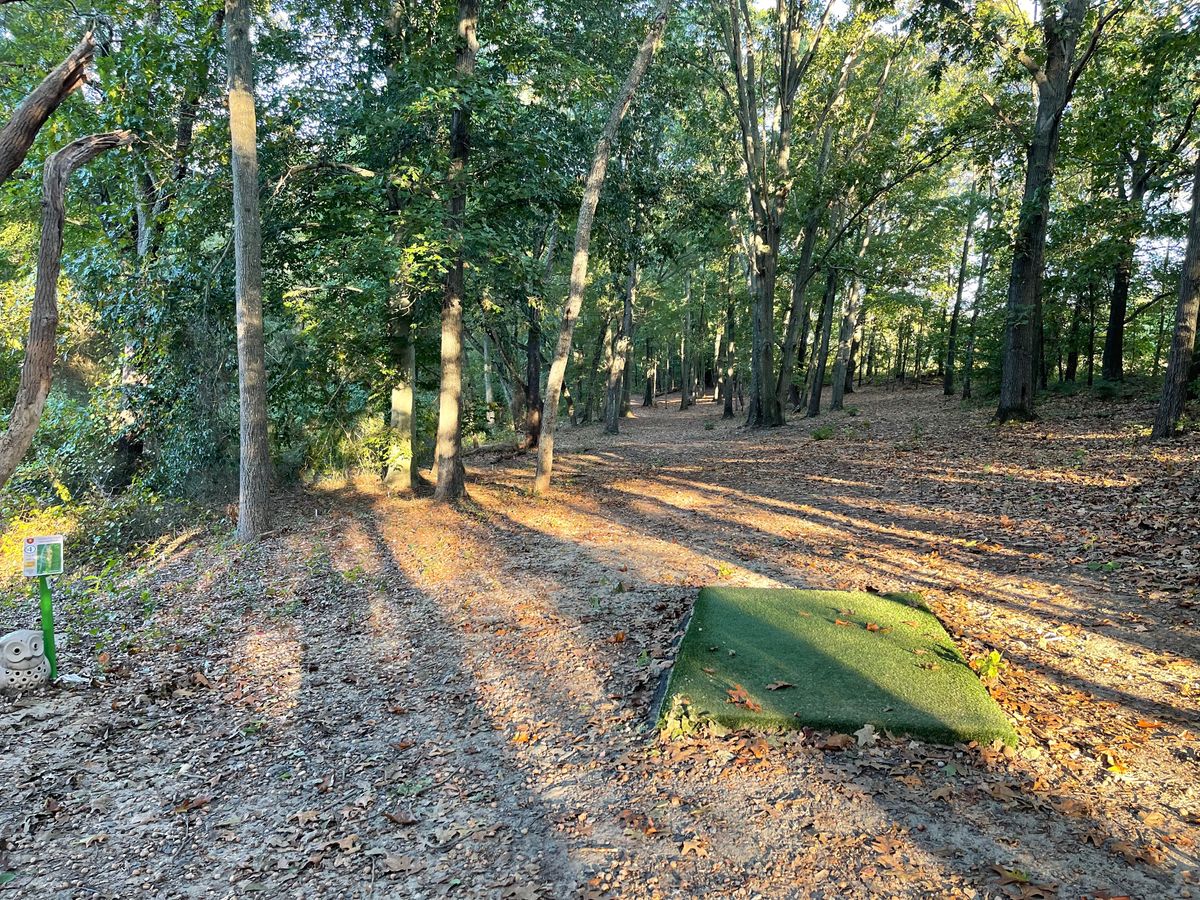 Hole 4 short