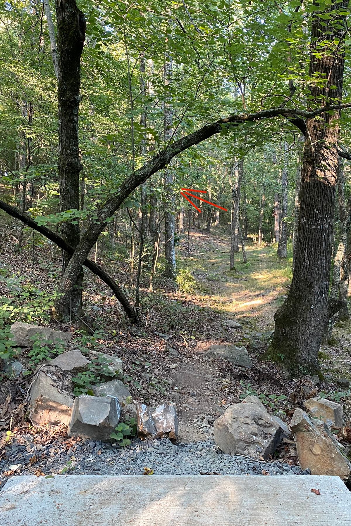 Far placement is up the hill to the left. Have fun and watch for downed barbed wire! lol