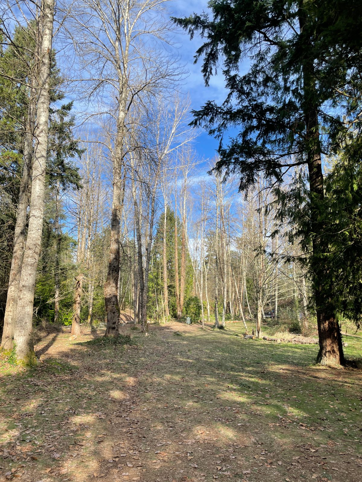 Hole 18