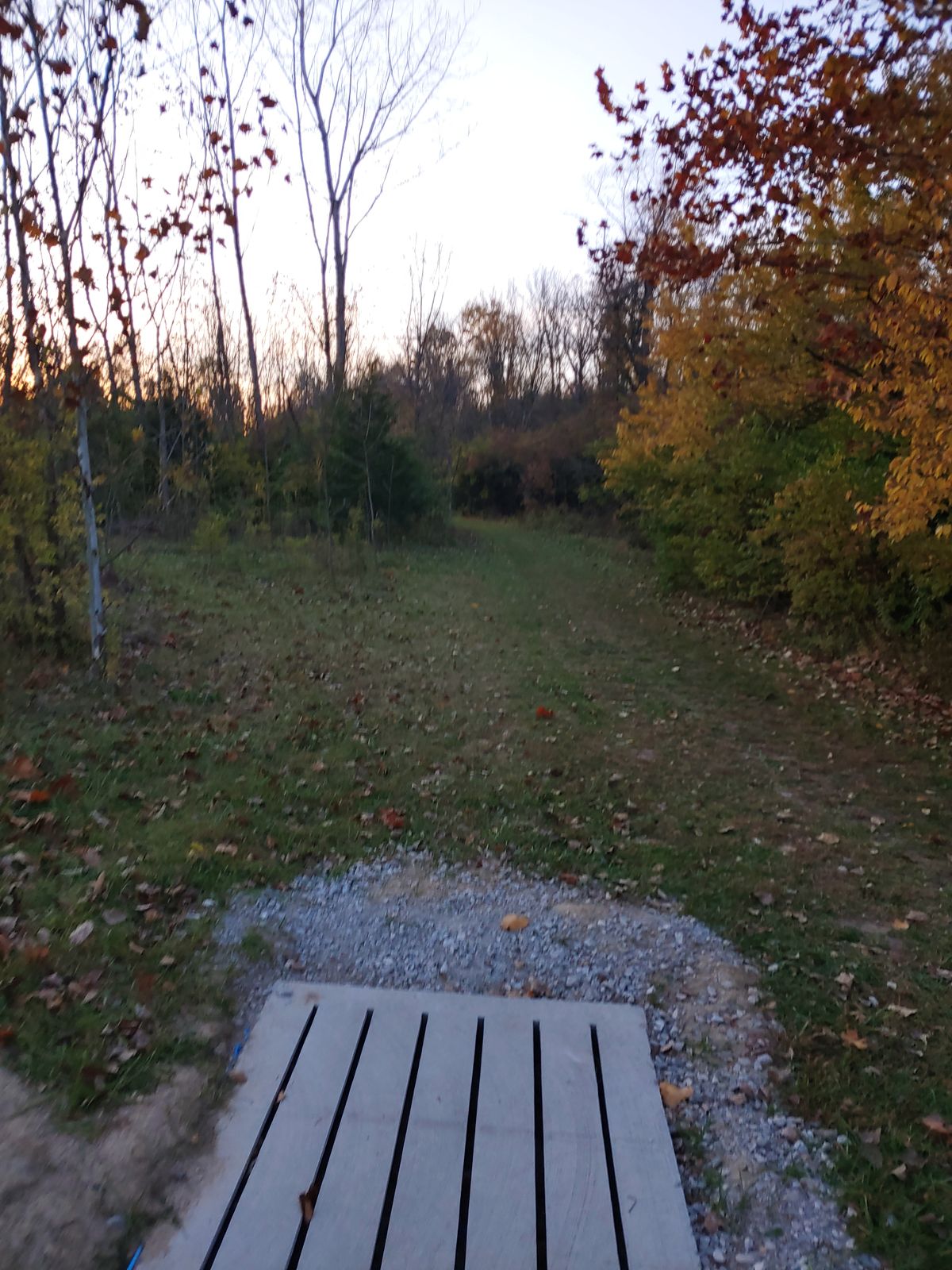 Hole 6