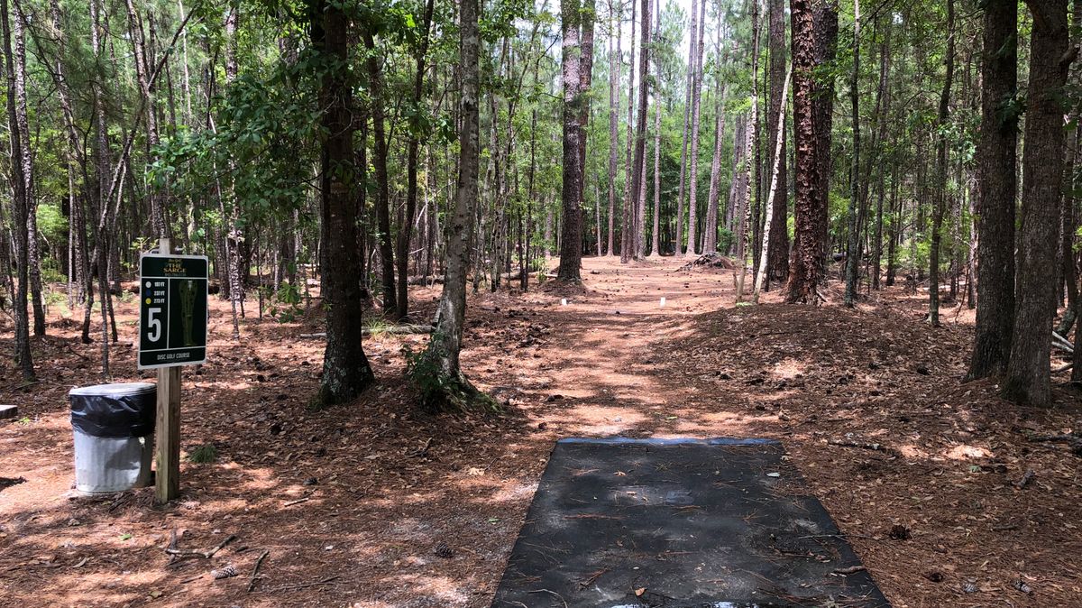 Hole 5