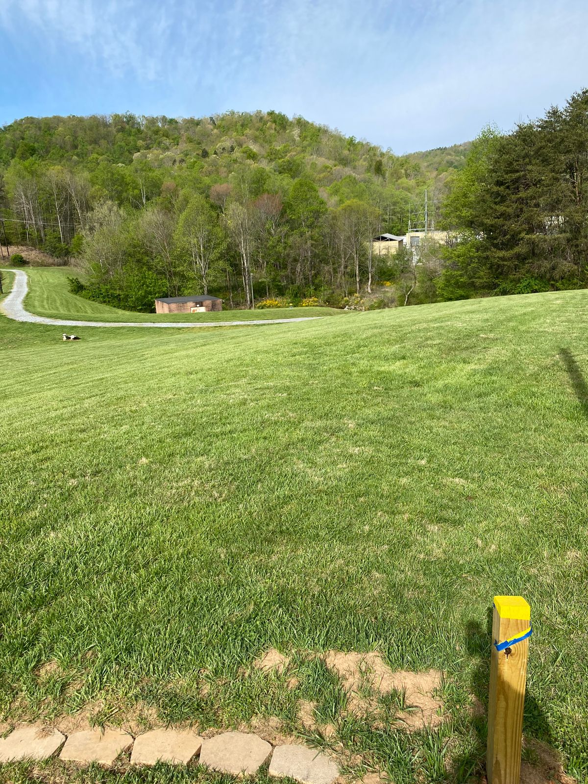 Hole 3. Fun downhill bomb.
