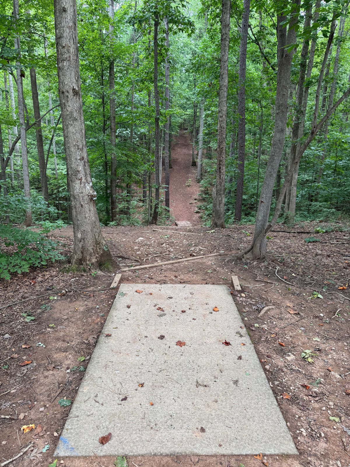 Hole 2 short tee