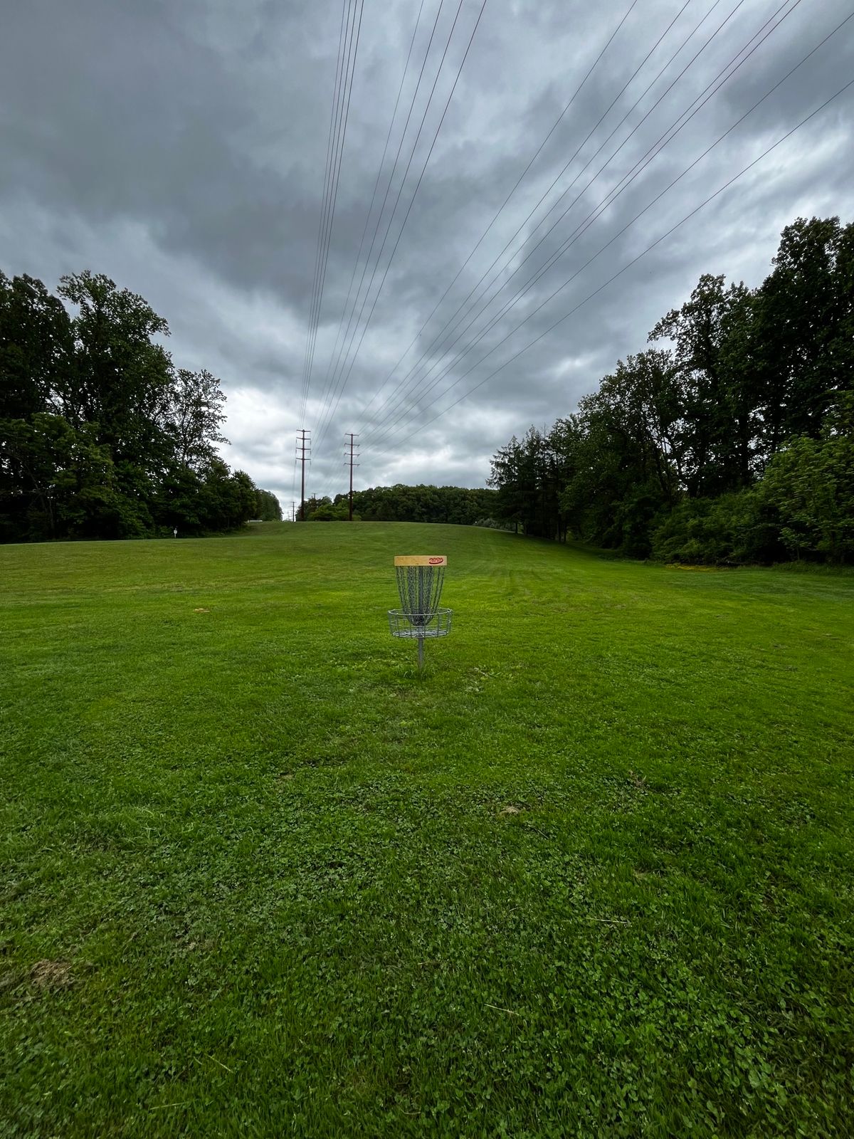 Hole 12 yellow green