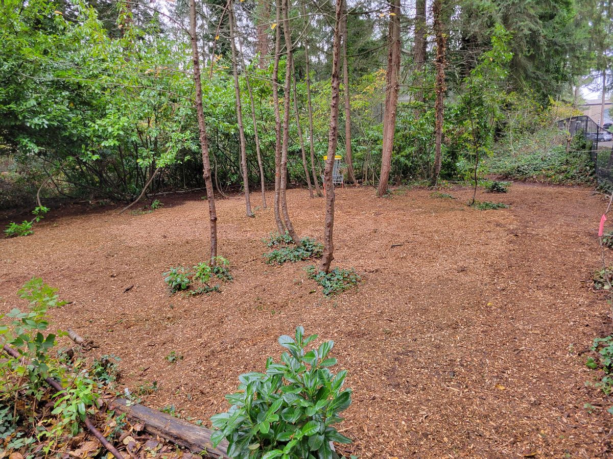 The island on hole 5/14