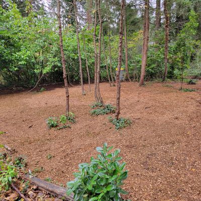 The island on hole 5/14