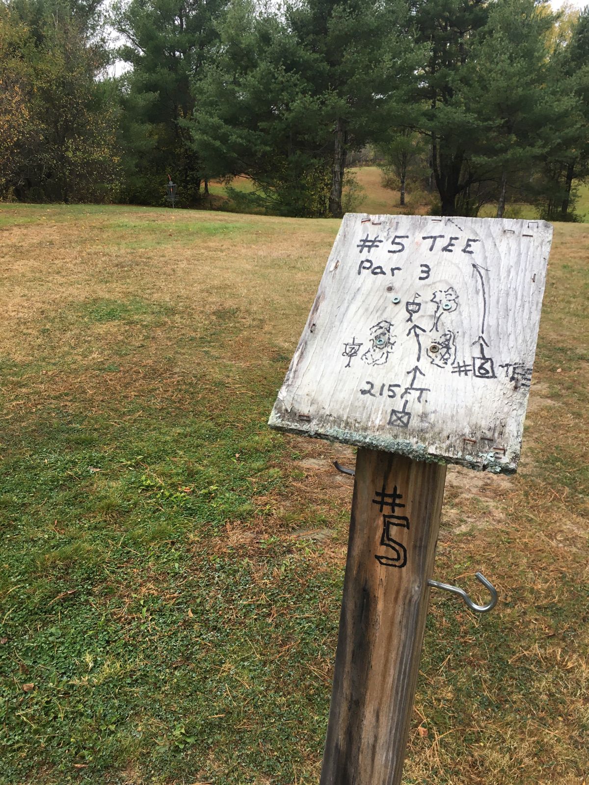 Potential Black Ace (basket is hole 7)