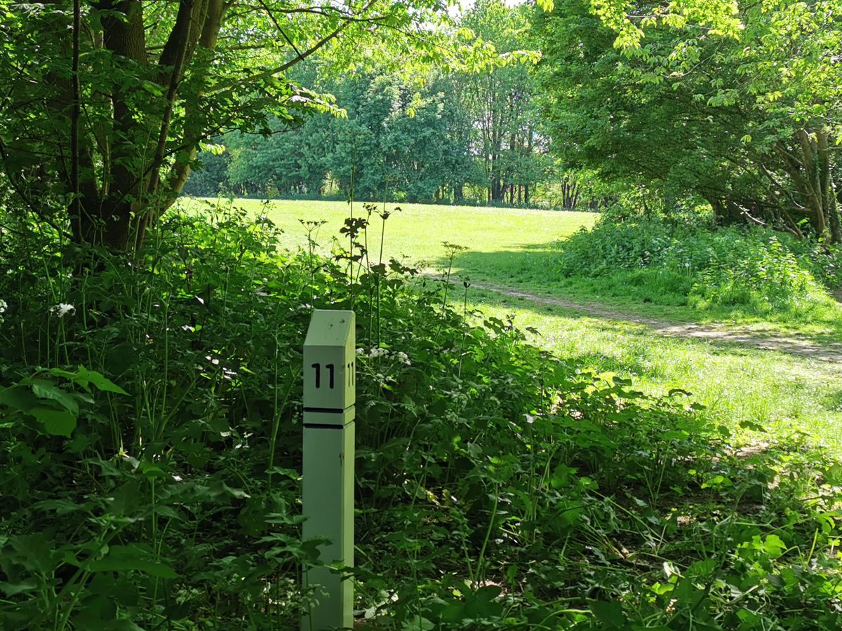 Mereside 'Blue 18' Tee 11