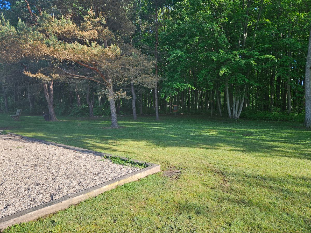 Hole 8 Basket Spring 2024