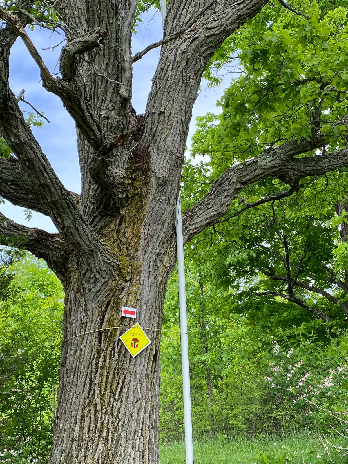 The mando on hole 10