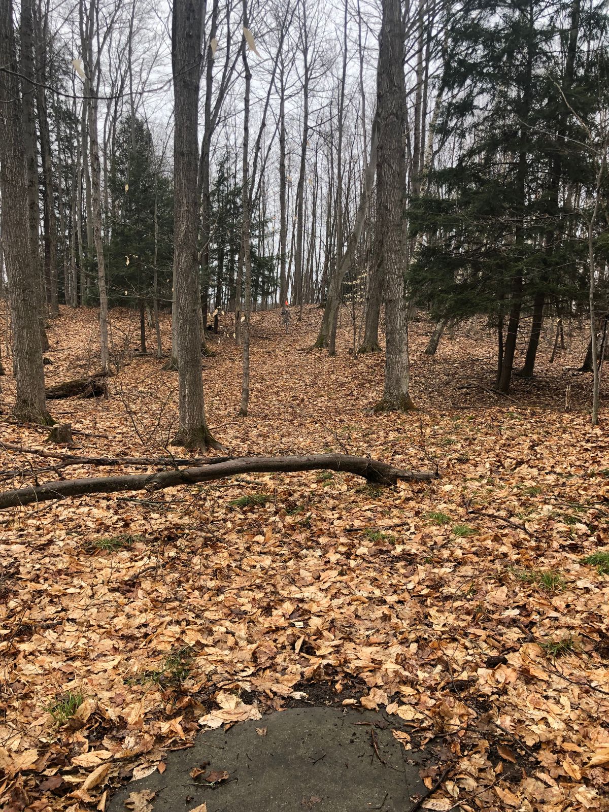 Hole 8