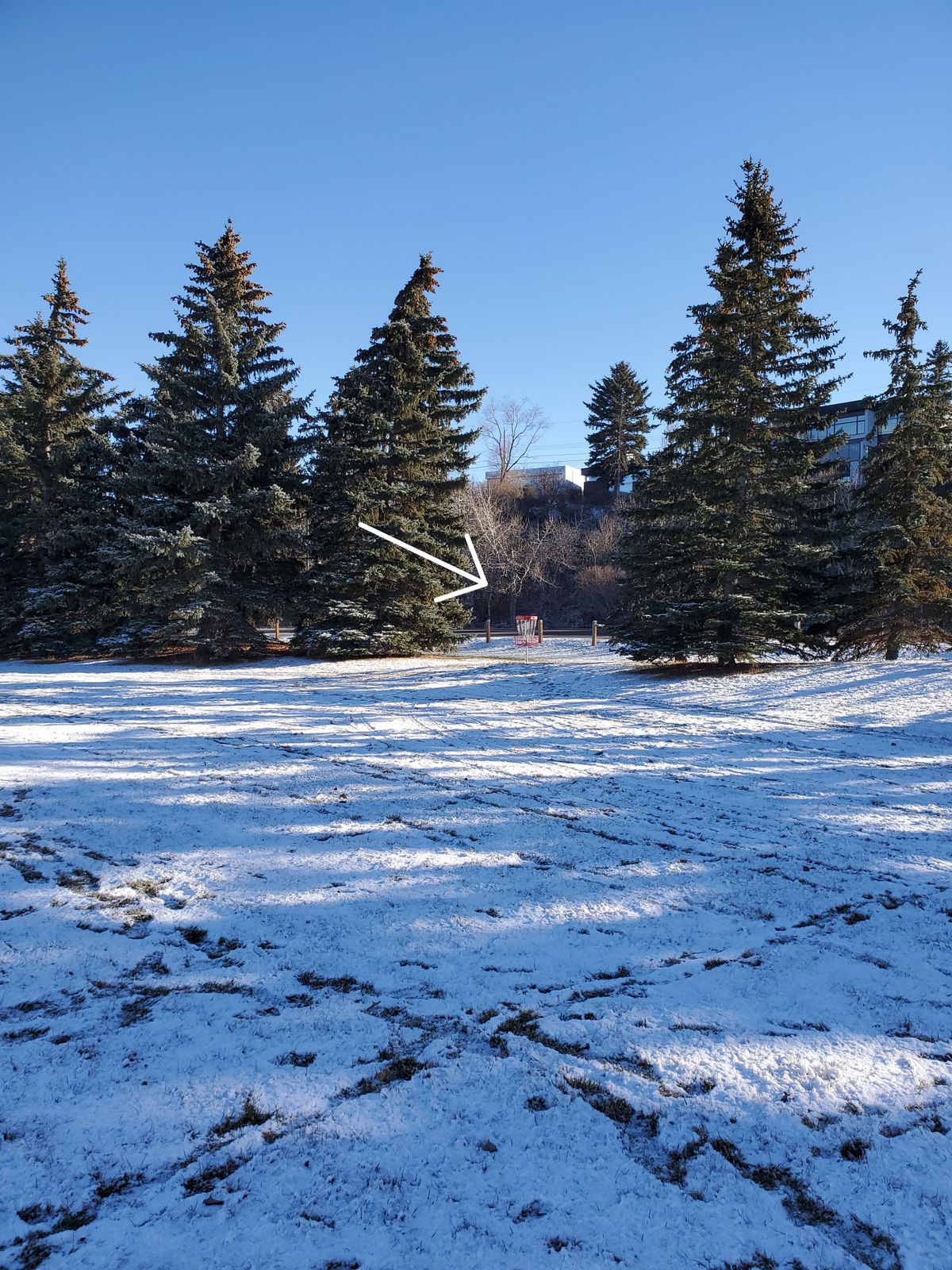 Back 9 Hole 2 / Full 18 hole 11