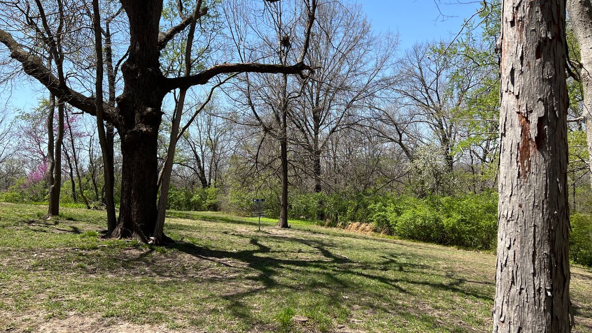 Hole 4