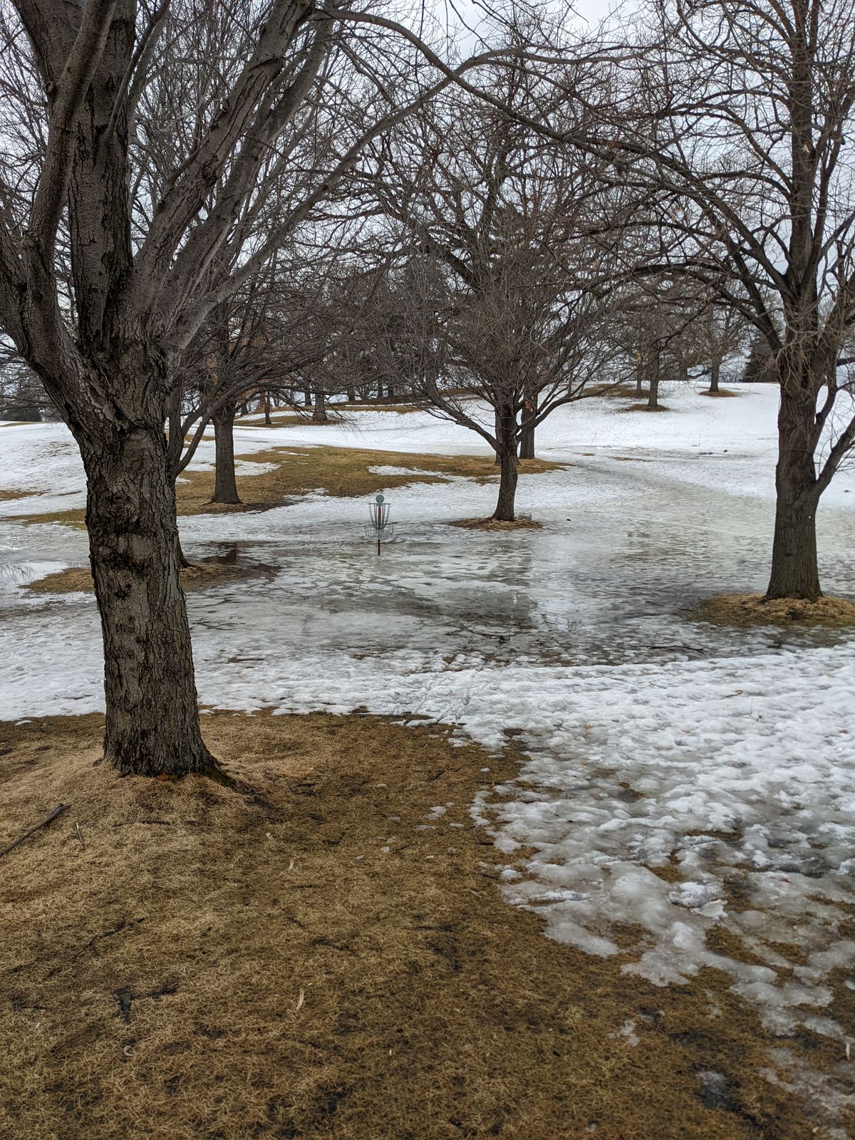 Standing water and lots of melting snow
