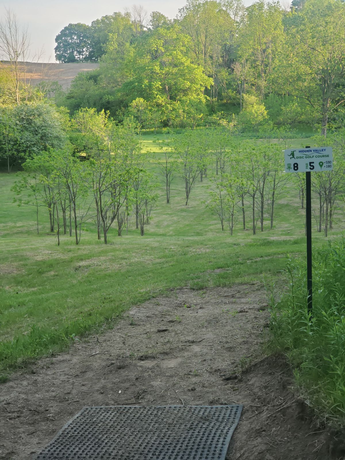 Hole 8 tee