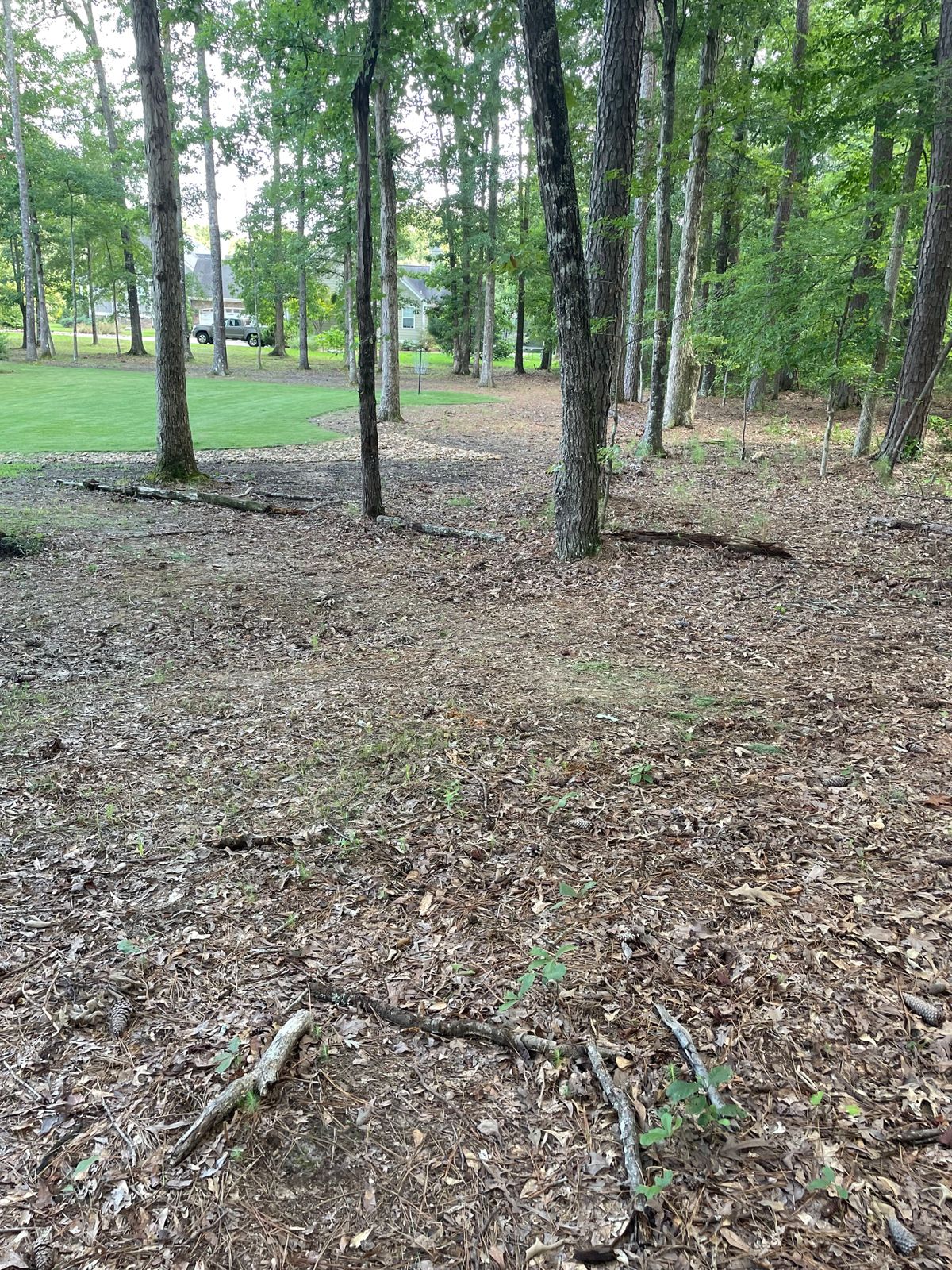 Hole 7