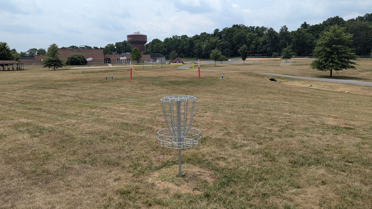 Hole 7 from basket.