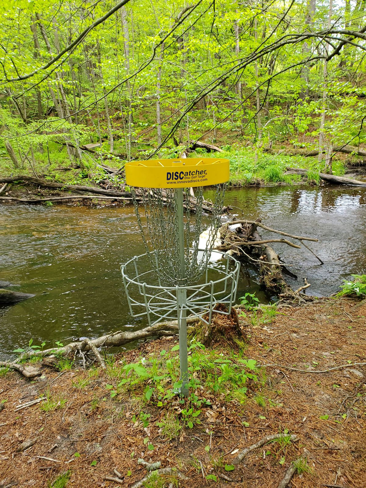 #7 basket. Throw the righty flick over the creek 200+
