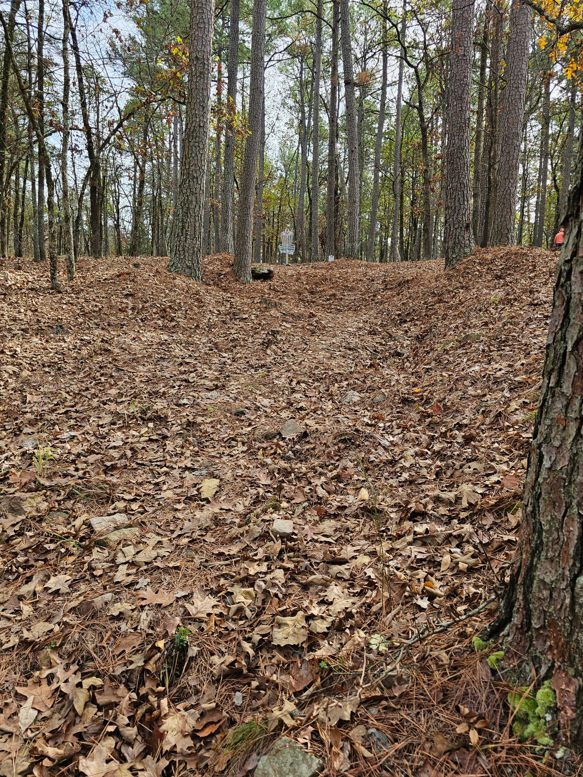 Hole 2