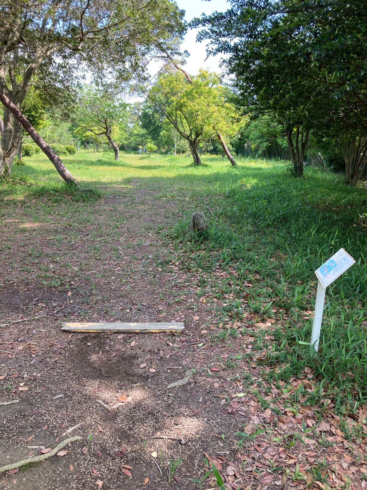 Hole 2 tee for 9 hole course. over wall on the right is an open field, not bad to get disc