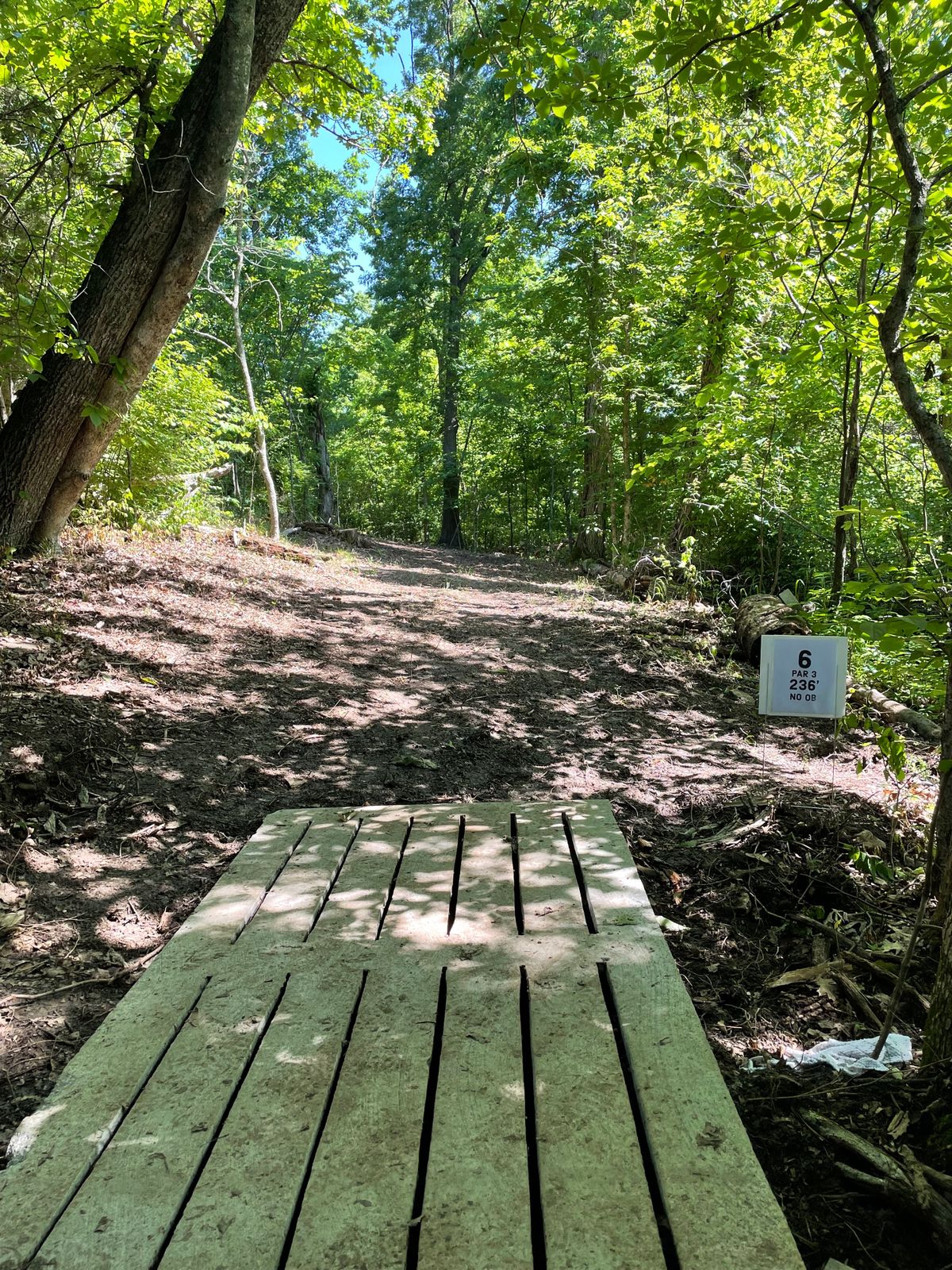 Hole 6
