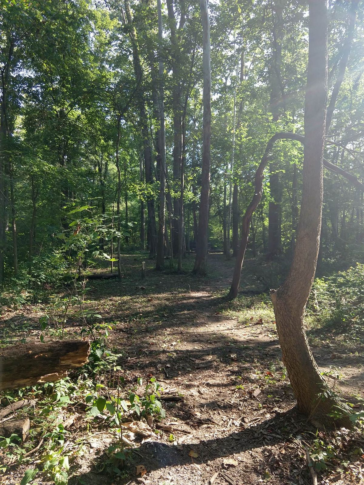 Hole 7