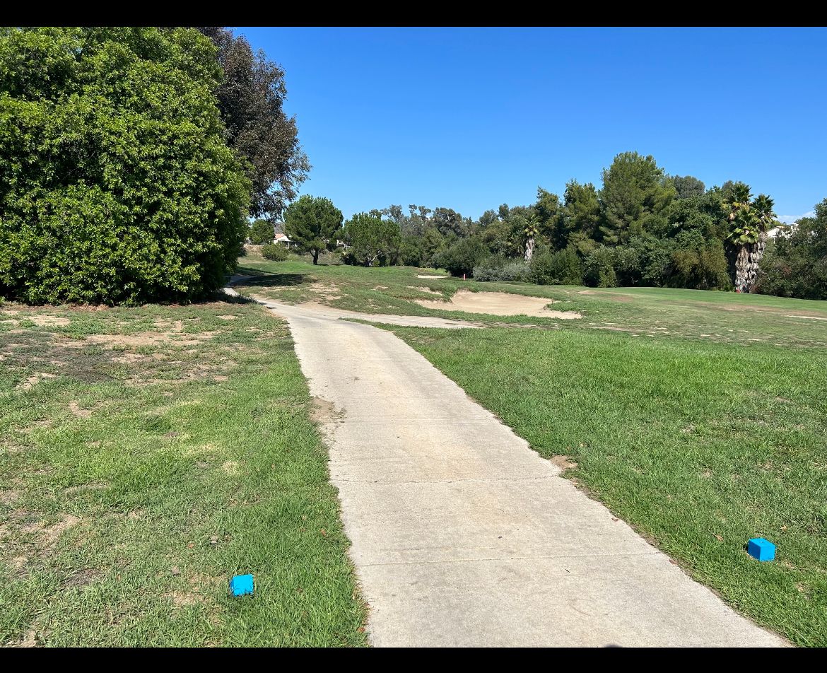 Hole 2 Alpha- 601 ft par 4-Basket is on far side of Green to the right of the single deep tree.