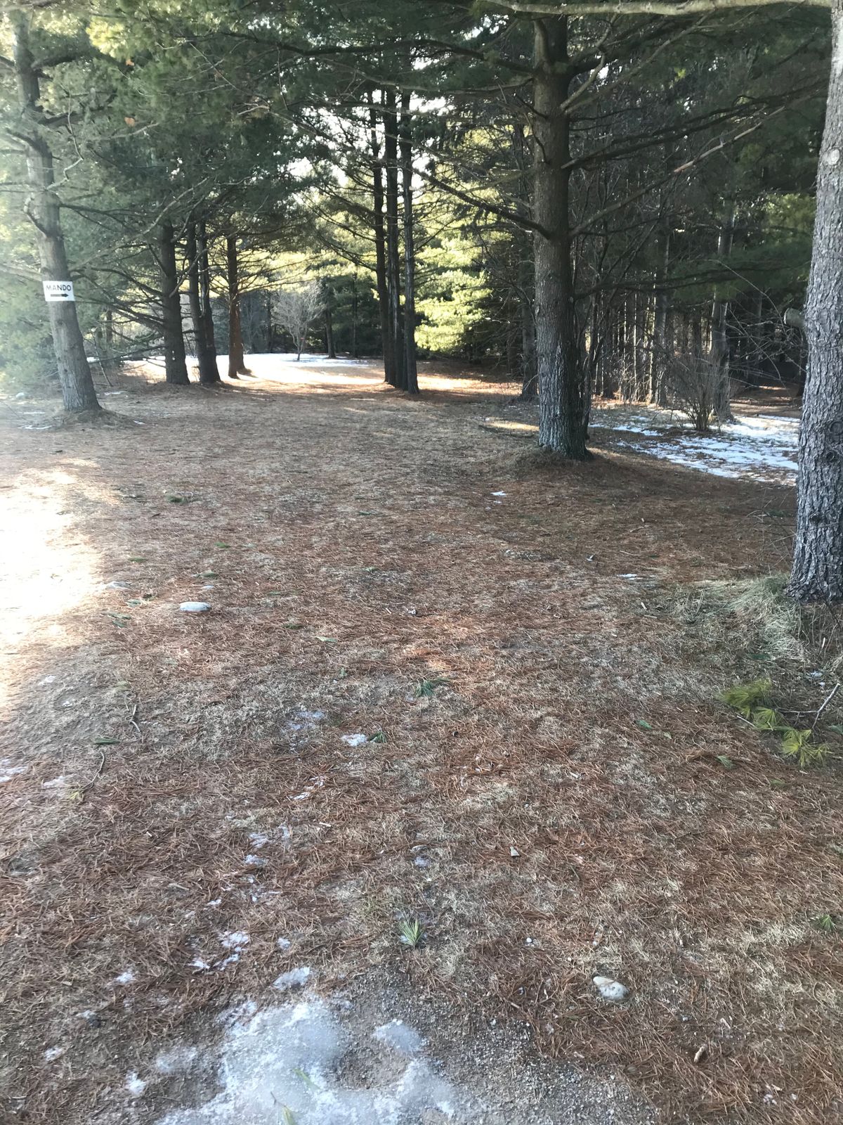 Hole 2 short tee