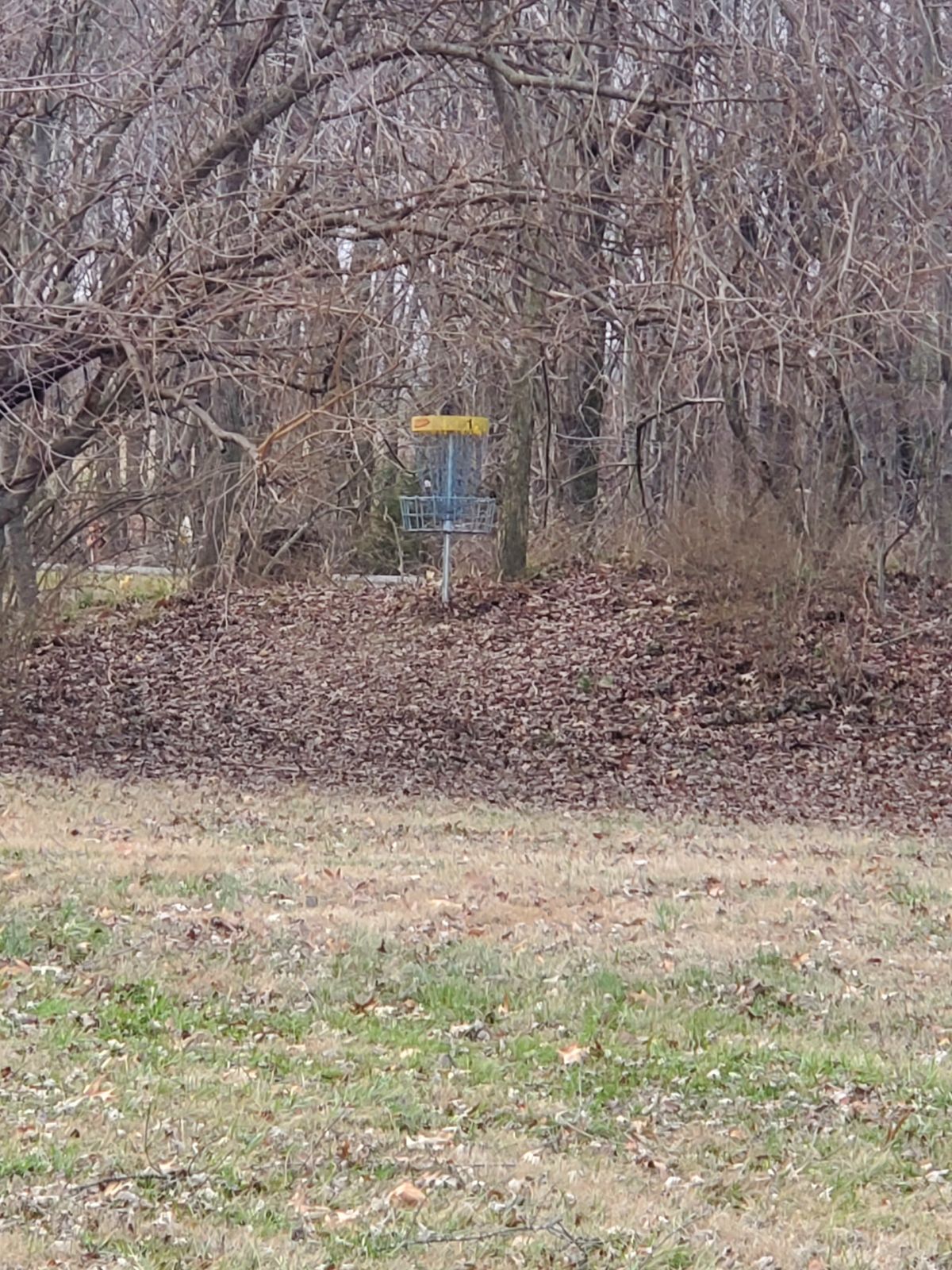 Hole 1 basket