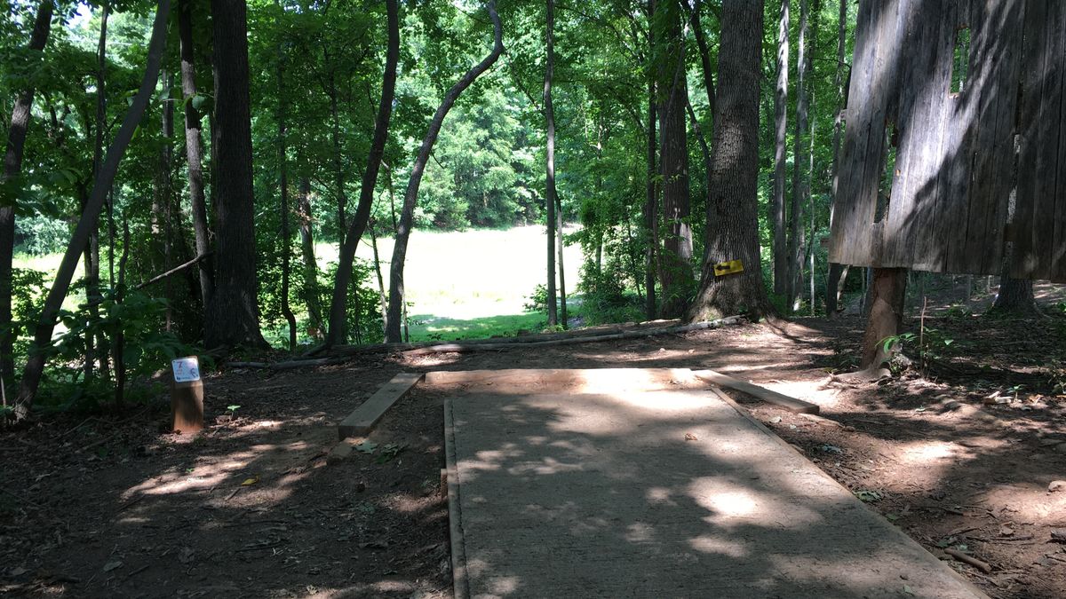 Hole 7