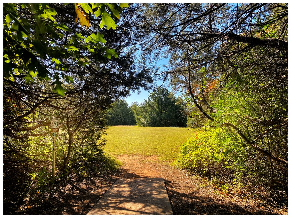 Hole 3 - behind that big red cedar