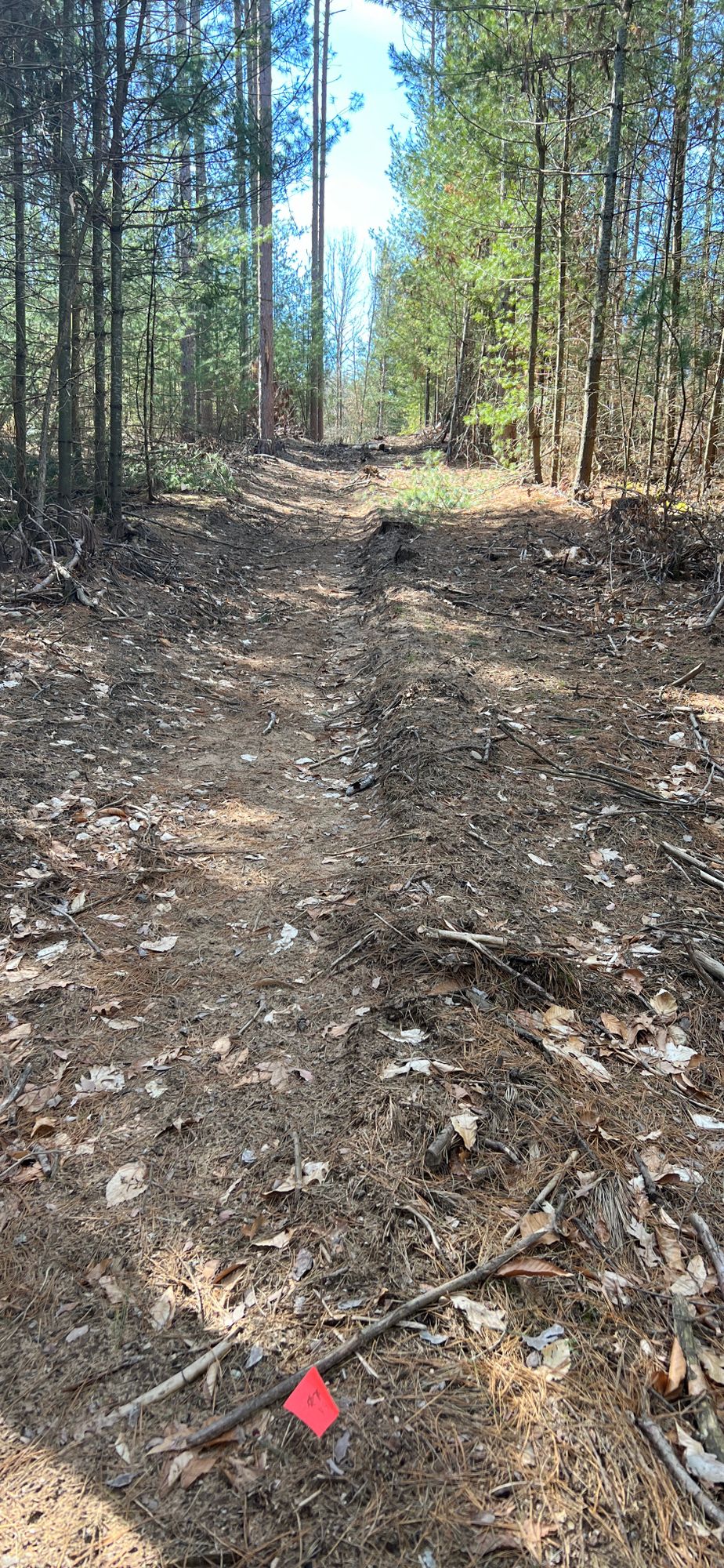 Hole 4 Pin back to tee