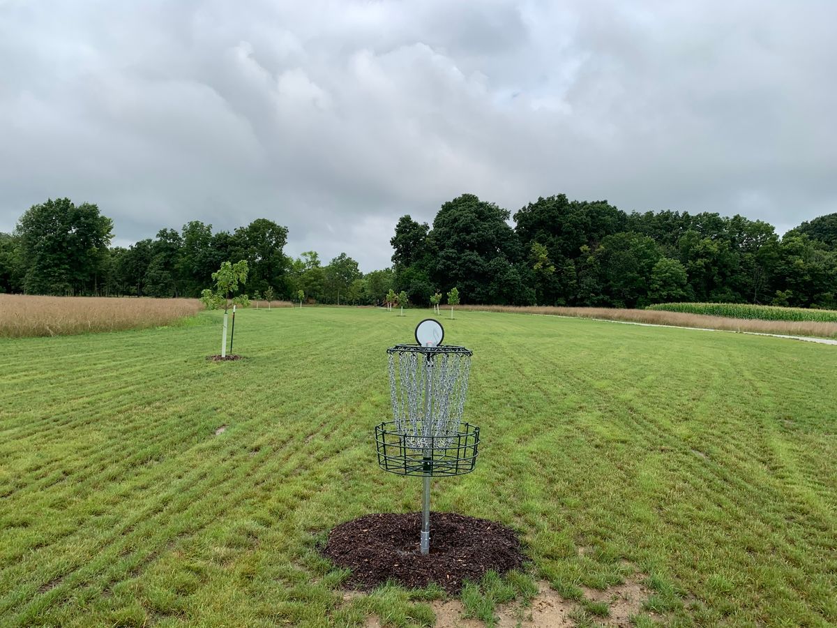 Hole 16 basket to tee