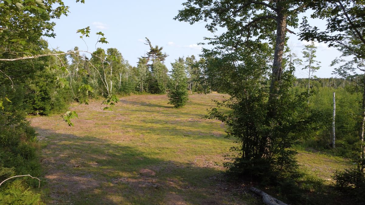 Early fairway of hole 4.