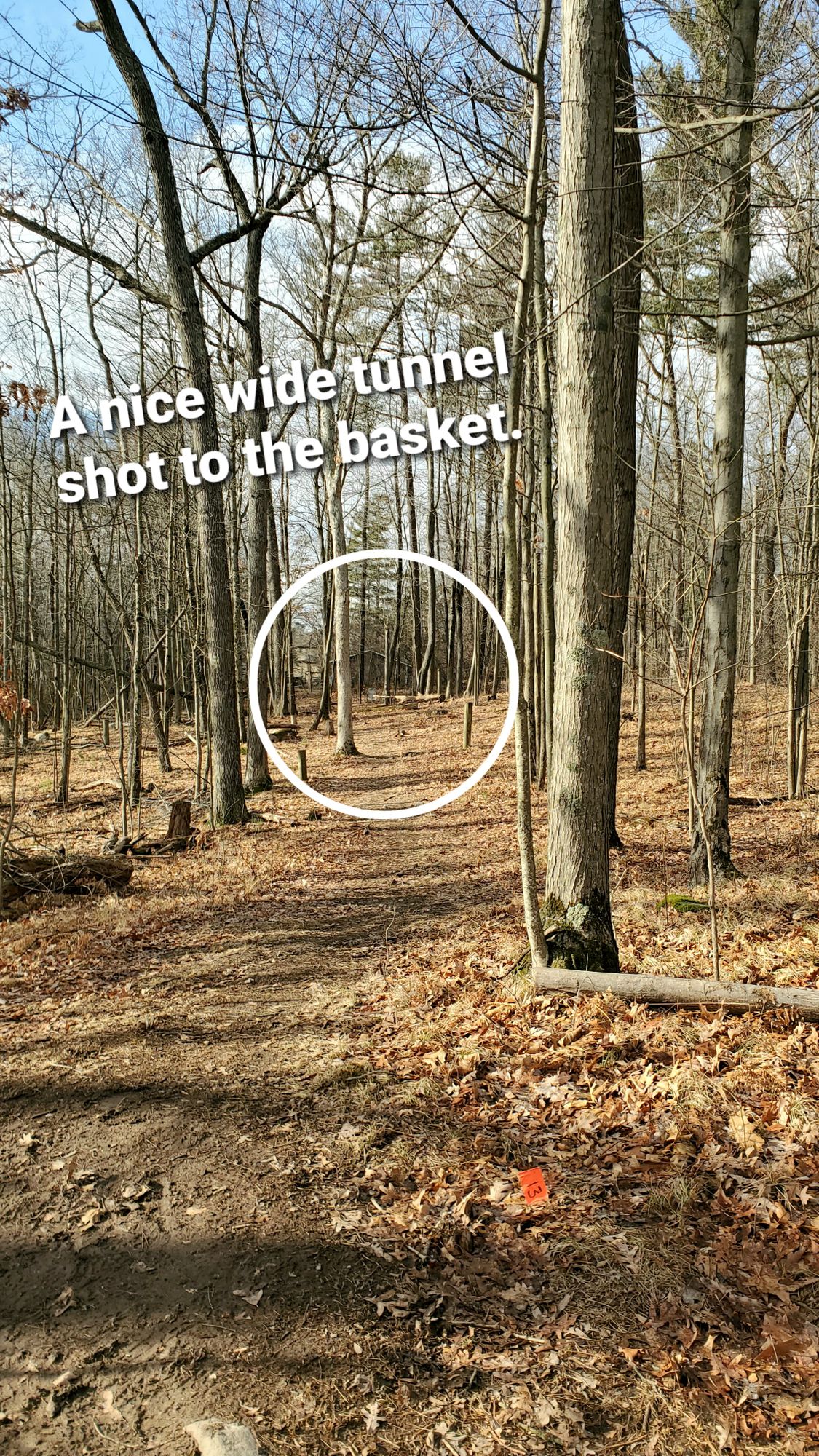 Looking at hole 13's basket from the tee.