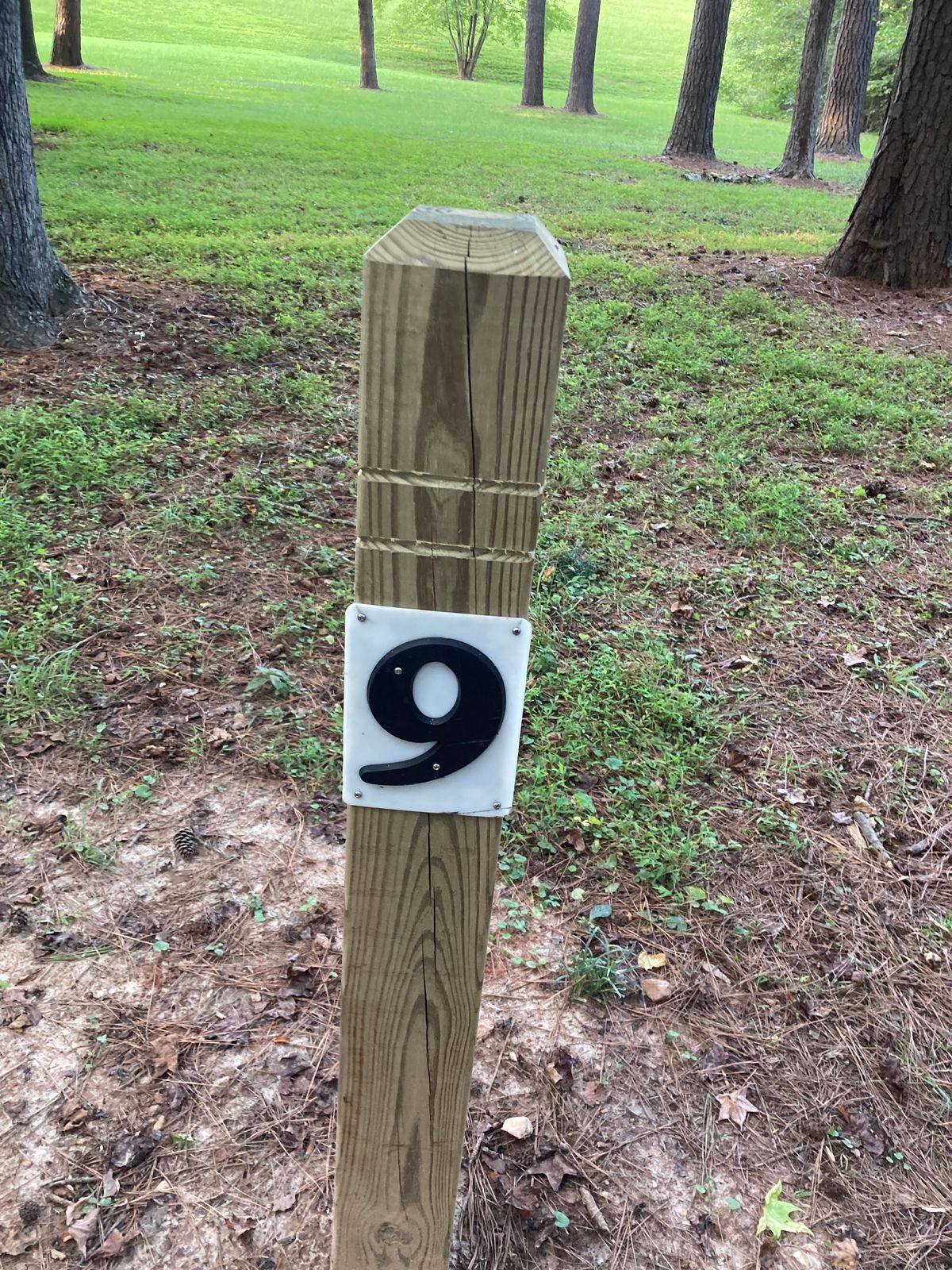 Hole 9- thread the needle.
