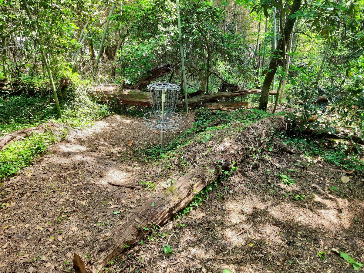 Hole 16 Basket