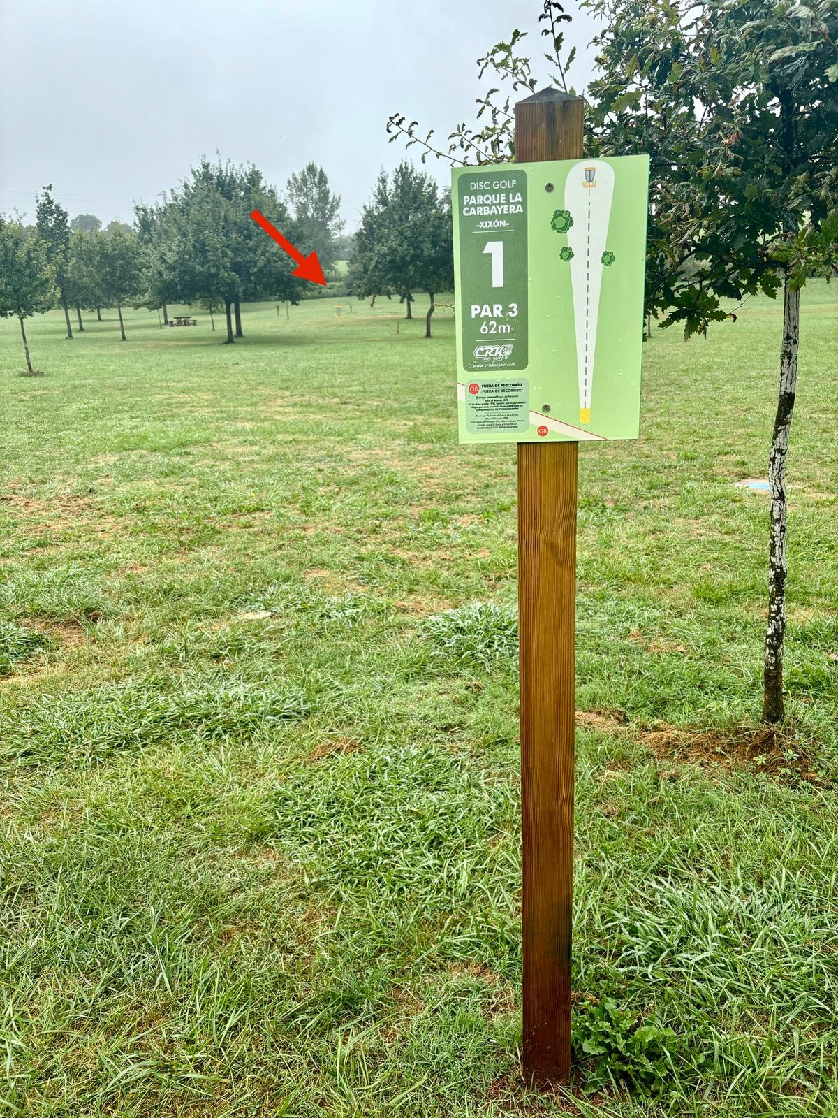 #1 / basket location (arrow)