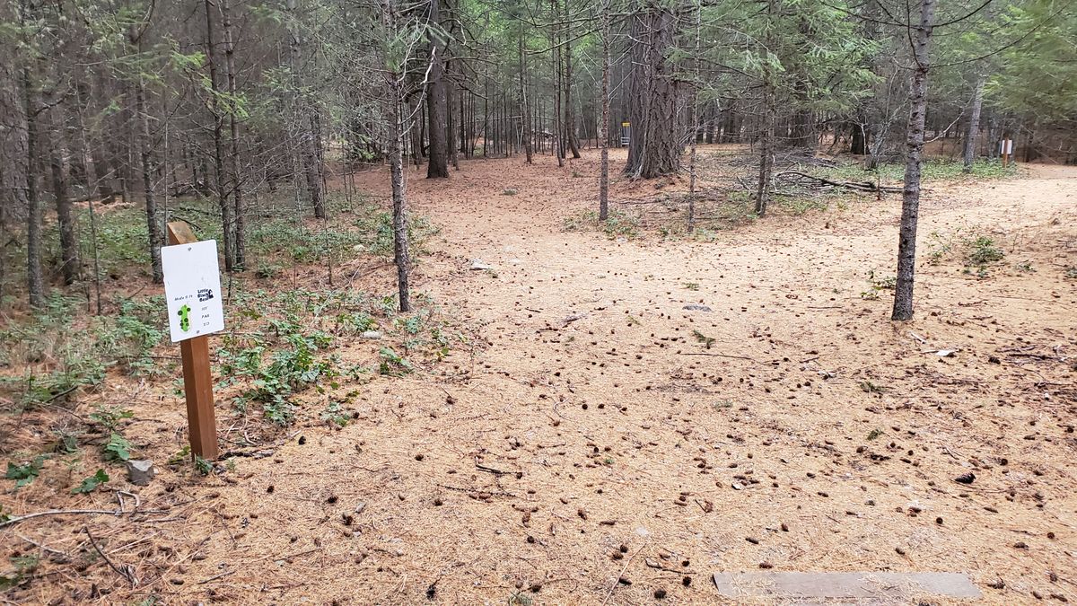 Tee pad hole 14
