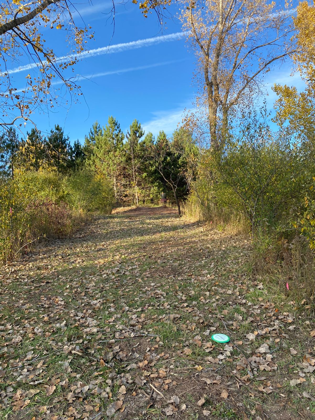 Hole 5 from fairway