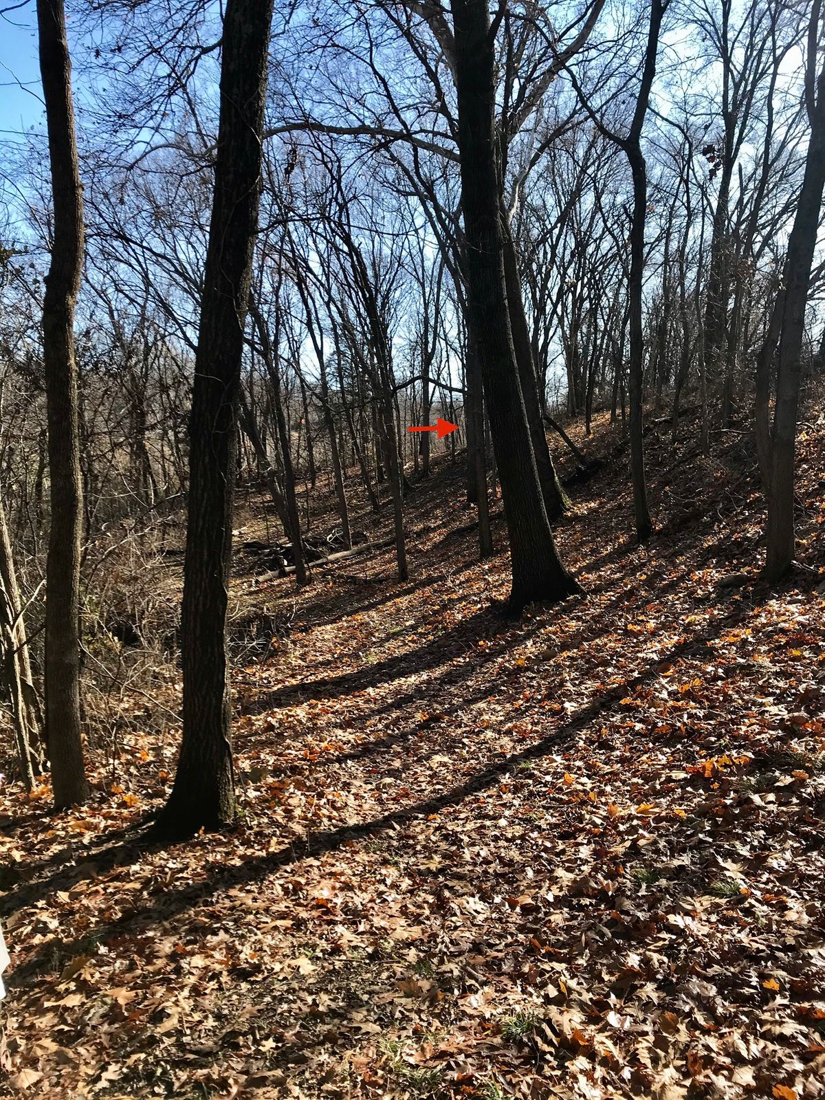 Hole 6 Tee
